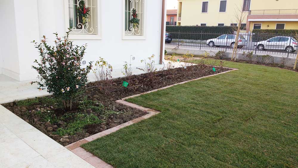 Progetto di giardino